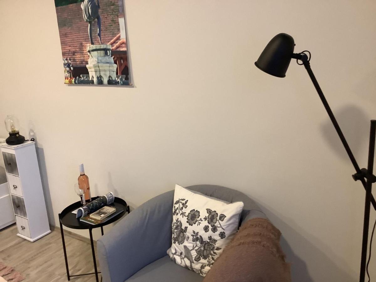Ezuest Boroka Apartman 埃格尔 外观 照片